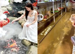 Quán cà phê cá Koi tiền tỷ ngập bùn, kho hàng mất trắng sau lũ