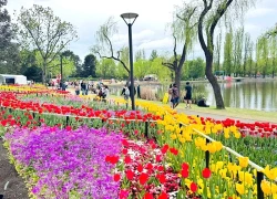 Sắc màu lễ hội hoa Floriade ở thủ đô nước Úc