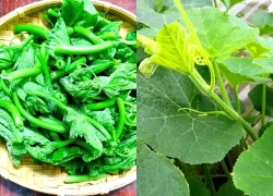 'Thần dược bổ máu': Loại rau nhà nghèo, giàu sắt và canxi ít người biết