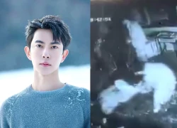 Vu Mông Lung báo cáo khám nghiệm bị "rò rỉ" dư luận sục sôi và đặt nhiều câu hỏi