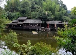 Bí ẩn ngôi làng độc lạ chưa từng có muỗi suốt 100 năm