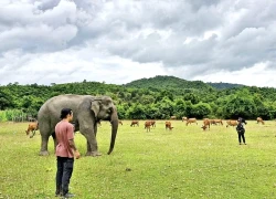 Chàng trai M'nông nghỉ việc công chức xã, về buôn làng làm du lịch bên 'bạn voi'