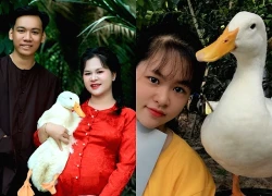 Bim Bim - chú vịt Việt Nam đầu tiên "làm" YouTube qua đời