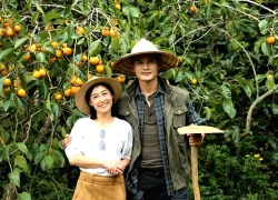 Đà Lạt mùa hồng chín - sắc thu níu chân du khách