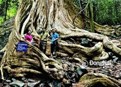 Đồng Nai xây dựng các tuyến, điểm đến du lịch kết nối Sân bay Long Thành