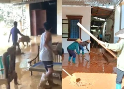 Gia đình ở Thái Nguyên đang dọn nhà ngập bùn, lợn từ trên cao rơi xuống