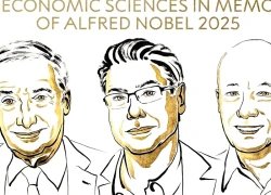 Giải Nobel Kinh tế 2025 vinh danh 3 nhà khoa học