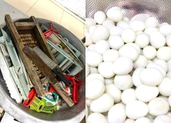 Hà Nội: Trường tiểu học bị tố nhập thịt ôi, trứng hỏng