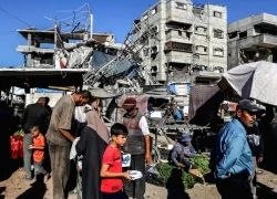 Hình ảnh người dân Gaza dần quay trở lại cuộc sống bình thường sau khi Israel rút quân