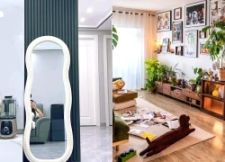 Không phải mê tín: Phòng khách to mấy cũng không thể đặt 4 thứ này nếu không muốn tài lộc, sức khỏe đều sa sút
