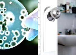 Luôn đóng cửa nhà vệ sinh khi không dùng, tôi hối hận vì 30 năm cuộc đời không biết cách này sớm hơn