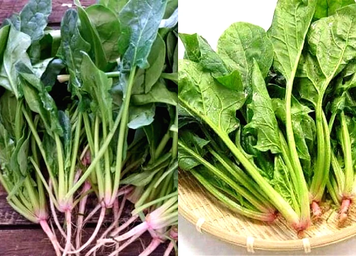 Một loại rau là 'thần dược xanh' cho sức khỏe và chăm sóc sắc đẹp