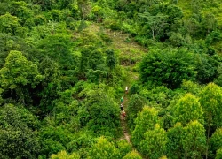 Những cung đường tuyệt đẹp của Gia Lai City Trail 2025