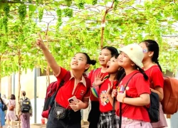 Sản xuất nông nghiệp kết hợp du lịch cộng đồng: Đa dạng trải nghiệm, tiêu dùng xanh