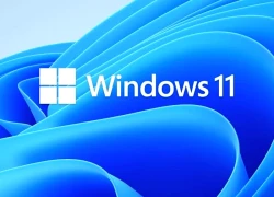 Sát giờ "khai tử" Windows 10, công cụ nâng cấp Windows 11 bất ngờ "đột tử"