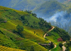 Tây Bắc rực rỡ mùa vàng