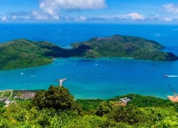 Vườn quốc gia Côn Đảo - hành trình đến "Danh lục Xanh IUCN"
