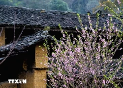 Yên bình làng cổ tích Lô Lô Chải nơi địa đầu Tổ quốc