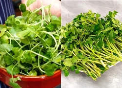 10 tác dụng bất ngờ của cải xoong bạn có thể chưa biết