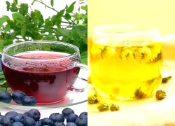 6 loại trà thảo mộc hỗ trợ điều trị viêm đường tiết niệu tại nhà