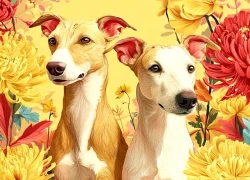 Con giáp xuất sắc từ đầu đến chân: Vừa tài giỏi vừa khí chất