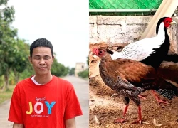 Hôm nay, TAND tỉnh Hưng Yên xử phúc thẩm vụ gà lôi trắng
