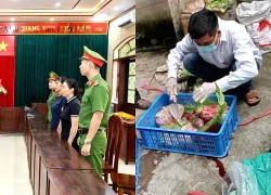 Khởi tố 2 đối tượng mua lợn bệnh, lợn chết về trà trộn với thịt sạch