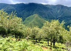 Một thoáng Tà Chì Nhù