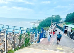 Tận hưởng hương vị biển Busan, Hàn Quốc
