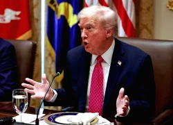 Tổng thống Trump kêu gọi Nga - Ukraine ngừng bắn dọc chiến tuyến