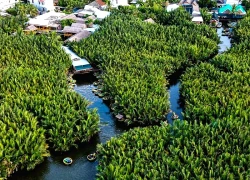 'Xứ sở cổ tích' ở Đà Nẵng mê hoặc lòng người, lọt top 20 làng đẹp nhất thế giới