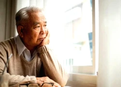 65 tuổi, tôi nhất quyết muốn sống với con trai nhưng 3 năm sau, một cuộc điện thoại khiến tôi phải hối hận