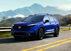 Bất ngờ về chi phí bảo dưỡng mẫu xe SUV Honda CR-V