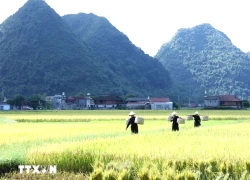Ghé thăm Làng văn hóa du lịch cộng đồng Quỳnh Sơn - Làng du lịch tốt nhất thế giới