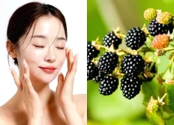 Top 10 'món ăn dưỡng nhan' được khoa học công nhận