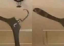 Treo móc áo lên trần nhà kích hoạt hệ thống gây ngập lụt khách sạn, du khách bị đòi bồi thường 600 triệu