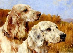 Tử vi tuần mới (20 - 26/10): Tỵ, Sửu, Thân sự nghiệp tỏa sáng, rộng đường thăng tiến, Dần dễ hao hụt tiền của