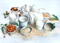 Uống sữa hạt thế nào để vừa giảm cân vừa có làn da đẹp?