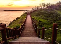 7 trải nghiệm 'đáng tiền' tận hưởng trọn vẹn mùa Thu Jeju