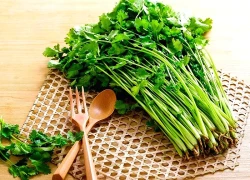 8 công dụng tuyệt vời của rau mùi đối với sức khỏe