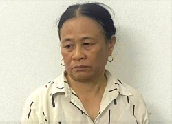 Bắt giữ đối tượng lợi dụng quyền khiếu nại, tố cáo vi phạm pháp luật