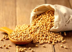 Đậu nành - nguồn dinh dưỡng vàng với 6 lợi ích ít ai ngờ