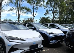 Hãng xe Trung Quốc bị điều tra lưu kho trái phép cả nghìn ô tô ở Australia