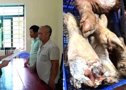 Khởi tố đối tượng giết mổ lợn nhiễm bệnh dịch tả Châu Phi bán ra thị trường