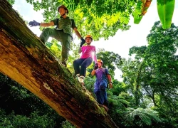 'Khu rừng hy vọng' giữa đại ngàn Trường Sơn