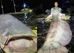 Người đàn ông câu được con cá trê khổng lồ nặng 117kg, dài gần 3m