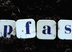 Pháp siết chặt kiểm soát các chất ô nhiễm vĩnh cửu