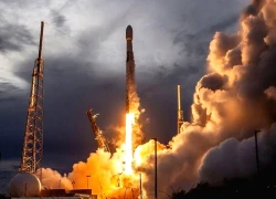 SpaceX phóng hàng chục vệ tinh Starlink lên quỹ đạo Trái Đất tầm thấp