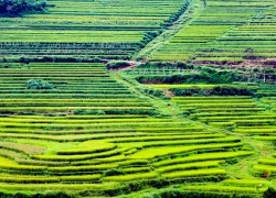 Thả hồn trên đỉnh Miền Đồi