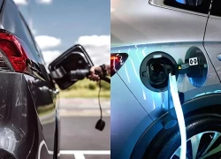 Xe PHEV phát thải cao gấp 5 lần thử nghiệm, không 'xanh' như công bố?